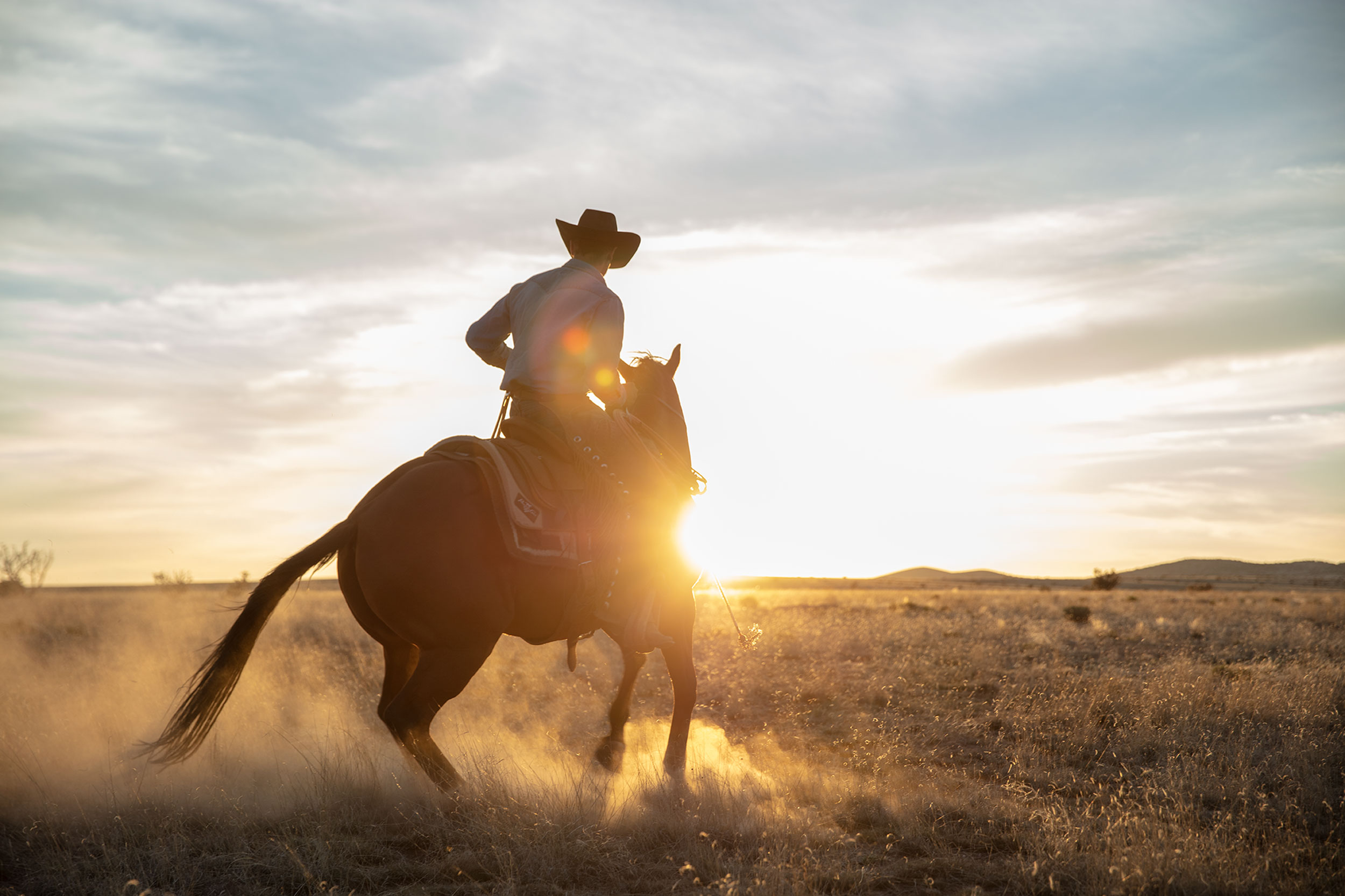 Cowboy__0002