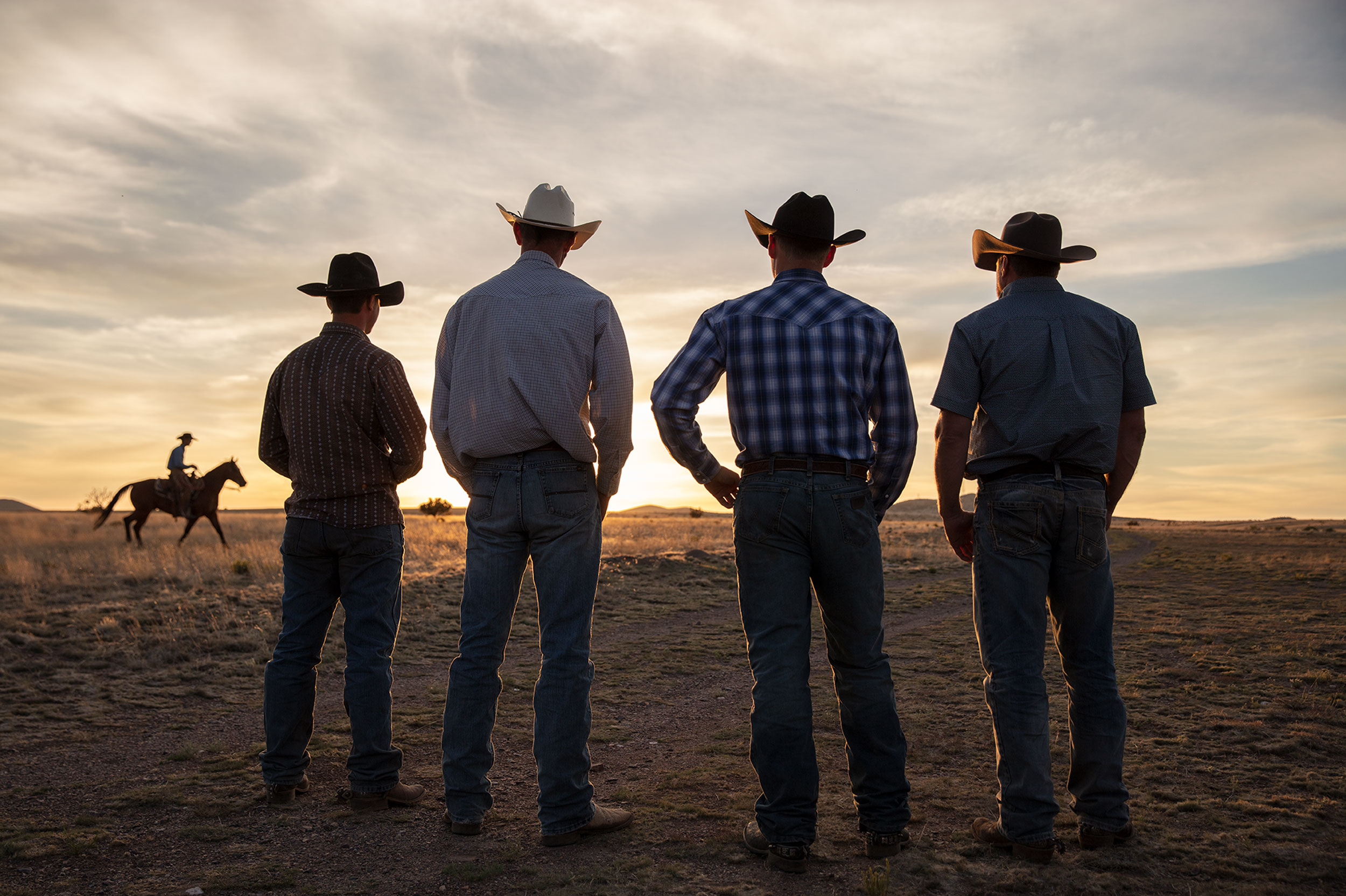 Cowboy__0003