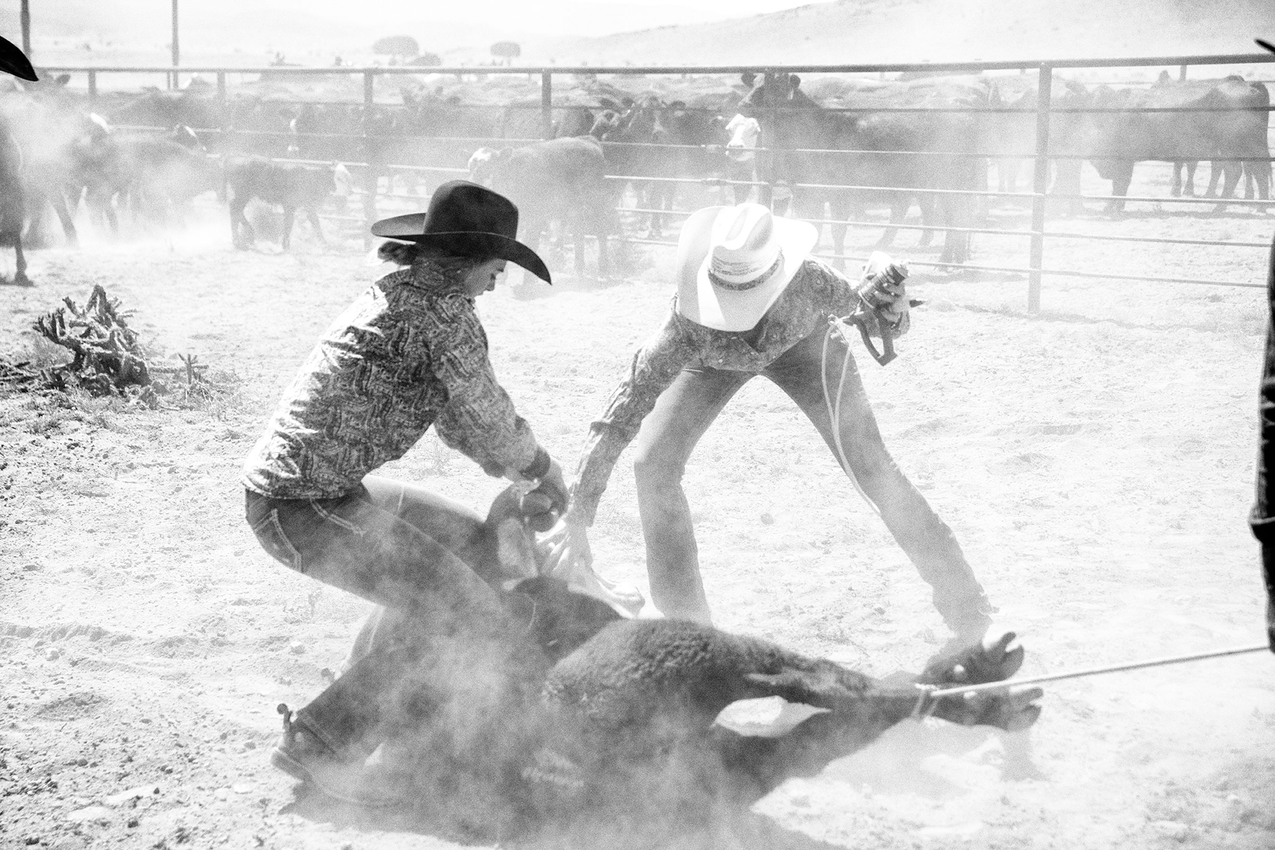 Cowboy__0010