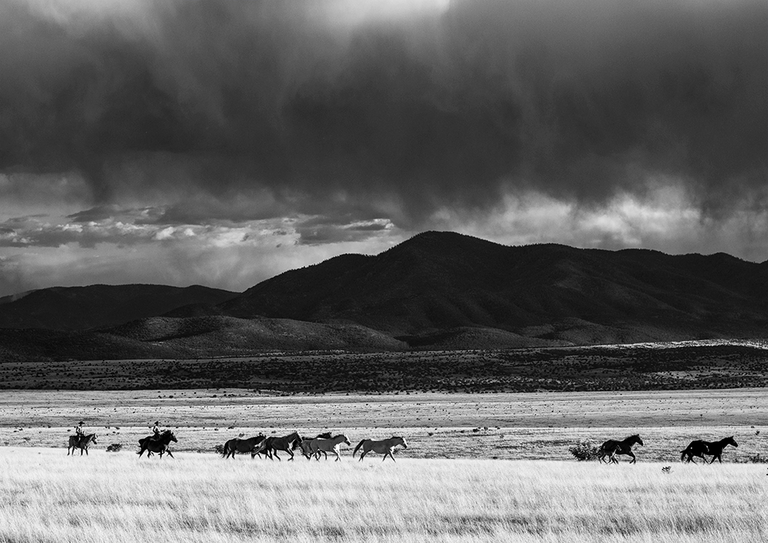 Cowboy__0016
